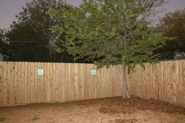 Halliday in San Antonio, photo 32